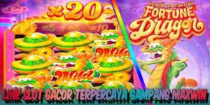 Link Judi Slot Gacor Terpercaya Resmi Gampang Maxwin Fortune Dragon